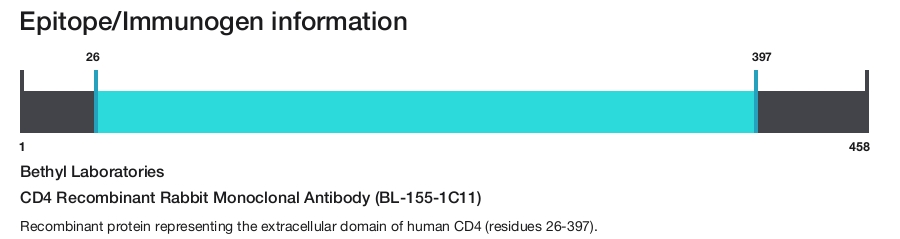 CD4 Recombinant Rabbit Monoclonal Antibody (BL-155-1C11)