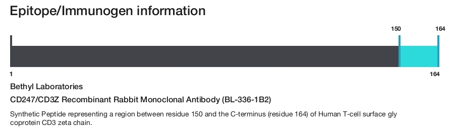 CD247/CD3Z Recombinant Rabbit Monoclonal Antibody (BL-336-1B2)