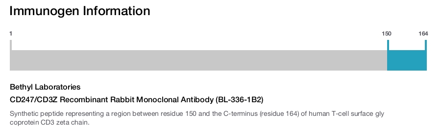 CD247/CD3Z Recombinant Rabbit Monoclonal Antibody (BL-336-1B2)