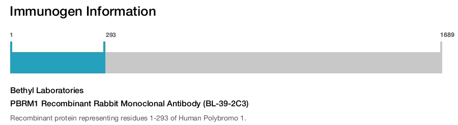 PBRM1 Recombinant Rabbit Monoclonal Antibody (BL-39-2C3)