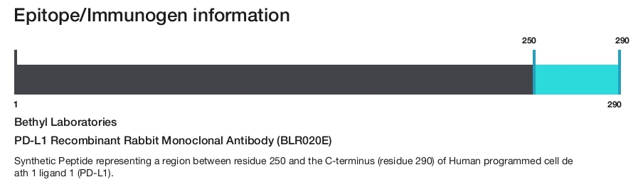 PD-L1 Recombinant Rabbit Monoclonal Antibody (BLR020E)