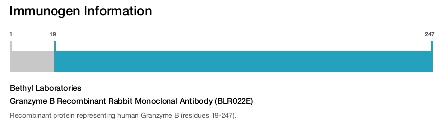 Granzyme B Recombinant Rabbit Monoclonal Antibody (BLR022E)