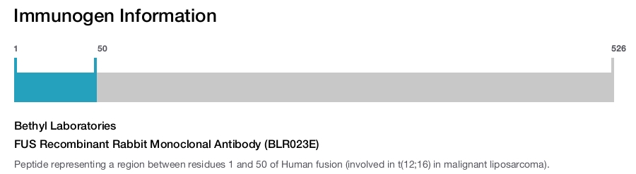 FUS Recombinant Rabbit Monoclonal Antibody (BLR023E)