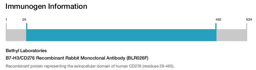 B7-H3/CD276 Recombinant Rabbit Monoclonal Antibody (BLR026F)