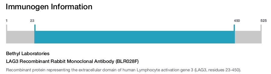 LAG3 Recombinant Rabbit Monoclonal Antibody (BLR028F)