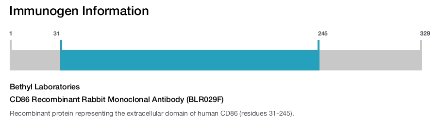CD86 Recombinant Rabbit Monoclonal Antibody (BLR029F)