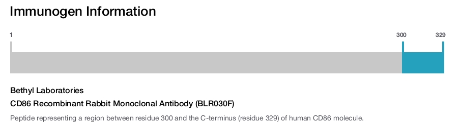 CD86 Recombinant Rabbit Monoclonal Antibody (BLR030F)