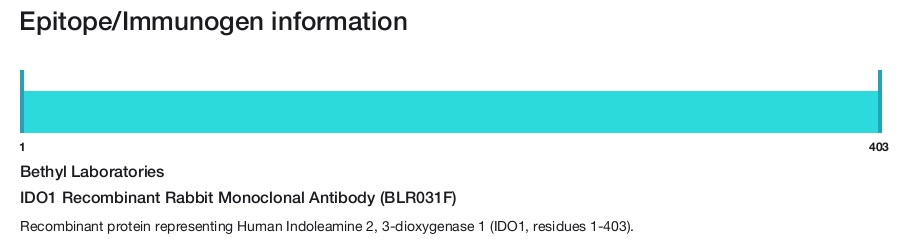 IDO1 Recombinant Rabbit Monoclonal Antibody (BLR031F)