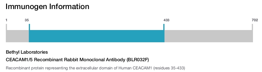 CEACAM1/5 Recombinant Rabbit Monoclonal Antibody (BLR032F)