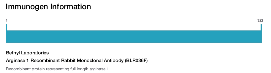 Arginase 1 Recombinant Rabbit Monoclonal Antibody (BLR036F)