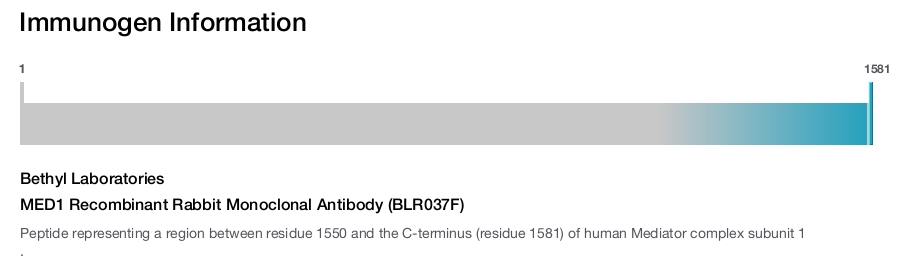 MED1 Recombinant Rabbit Monoclonal Antibody (BLR037F)
