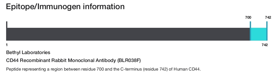 CD44 Recombinant Rabbit Monoclonal Antibody (BLR038F)