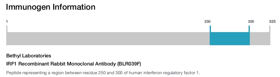 IRF1 Recombinant Rabbit Monoclonal Antibody (BLR039F)