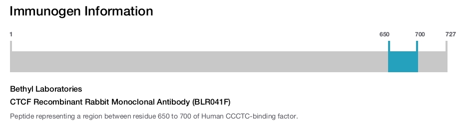 CTCF Recombinant Rabbit Monoclonal Antibody (BLR041F)