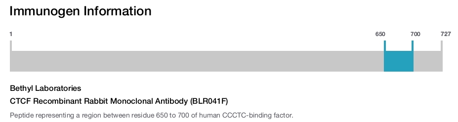 CTCF Recombinant Rabbit Monoclonal Antibody (BLR041F)