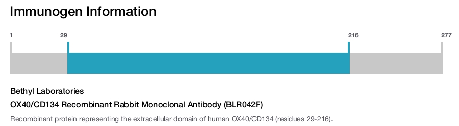 OX40/CD134 Recombinant Rabbit Monoclonal Antibody (BLR042F)