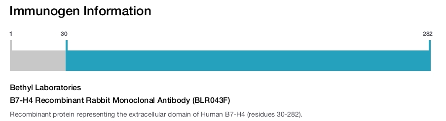 B7-H4 Recombinant Rabbit Monoclonal Antibody (BLR043F)
