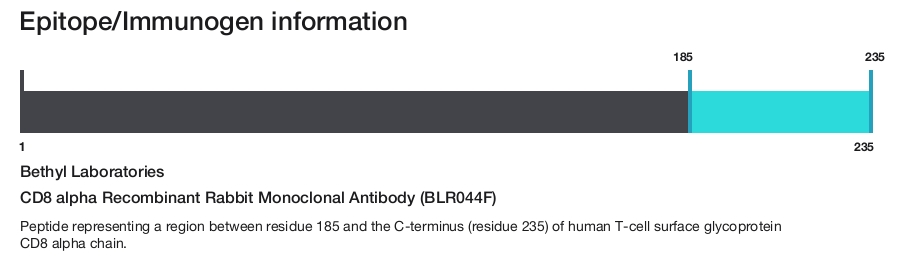CD8 alpha Recombinant Rabbit Monoclonal Antibody (BLR044F)