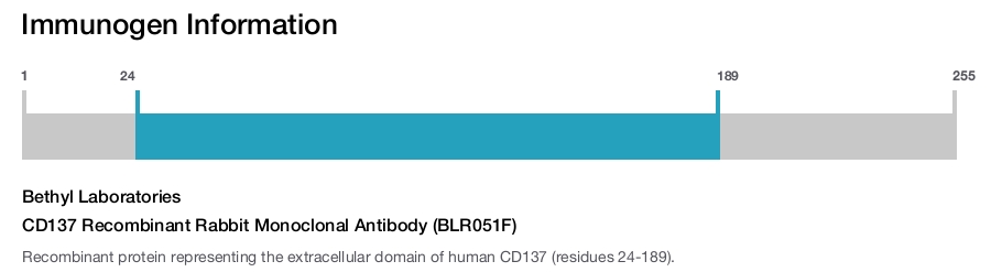 CD137 Recombinant Rabbit Monoclonal Antibody (BLR051F)