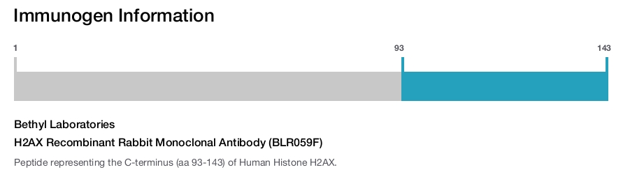 H2AX Recombinant Rabbit Monoclonal Antibody (BLR059F)