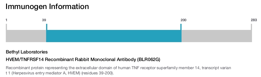 HVEM/TNFRSF14 Recombinant Rabbit Monoclonal Antibody (BLR062G)