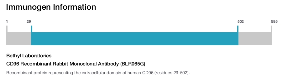 CD96 Recombinant Rabbit Monoclonal Antibody (BLR065G)
