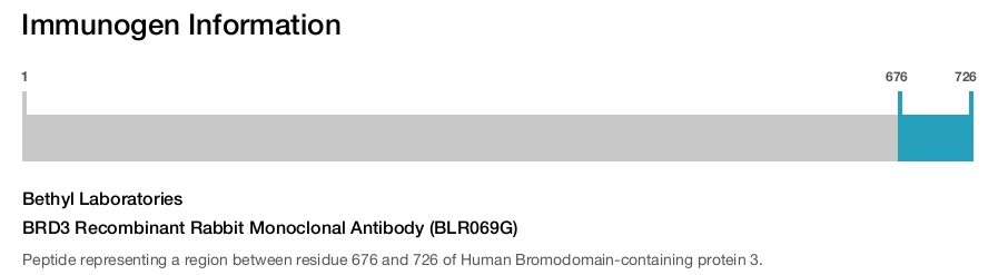 BRD3 Recombinant Rabbit Monoclonal Antibody (BLR069G)