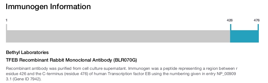 TFEB Recombinant Rabbit Monoclonal Antibody (BLR070G)