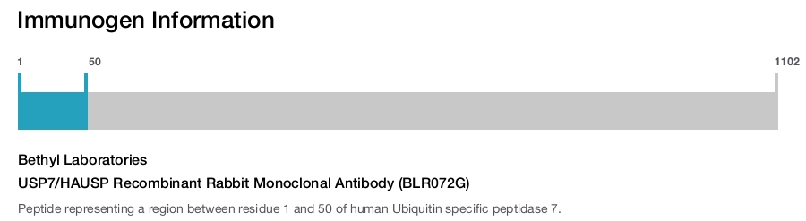 USP7/HAUSP Recombinant Rabbit Monoclonal Antibody (BLR072G)
