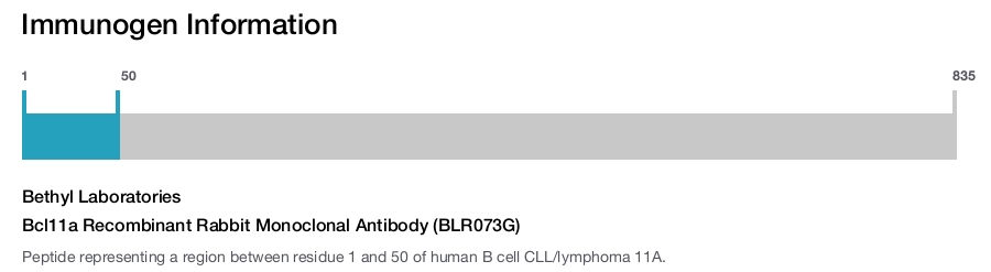 Bcl11a Recombinant Rabbit Monoclonal Antibody (BLR073G)