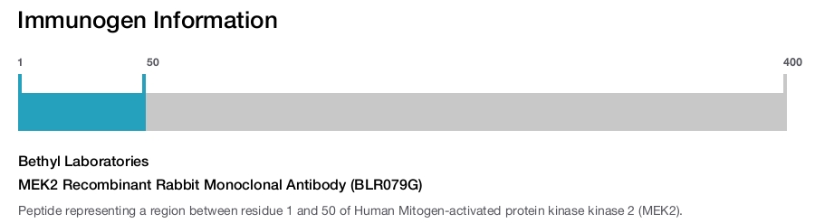 MEK2 Recombinant Rabbit Monoclonal Antibody (BLR079G)