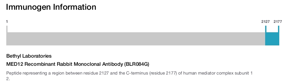 MED12 Recombinant Rabbit Monoclonal Antibody (BLR084G)