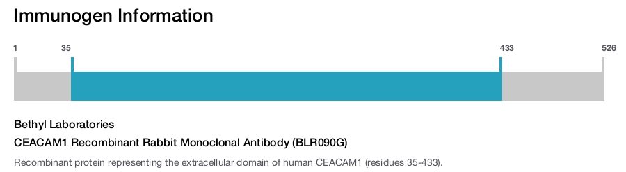 CEACAM1 Recombinant Rabbit Monoclonal Antibody (BLR090G)
