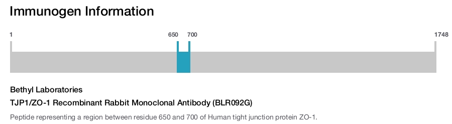 TJP1/ZO-1 Recombinant Rabbit Monoclonal Antibody (BLR092G)