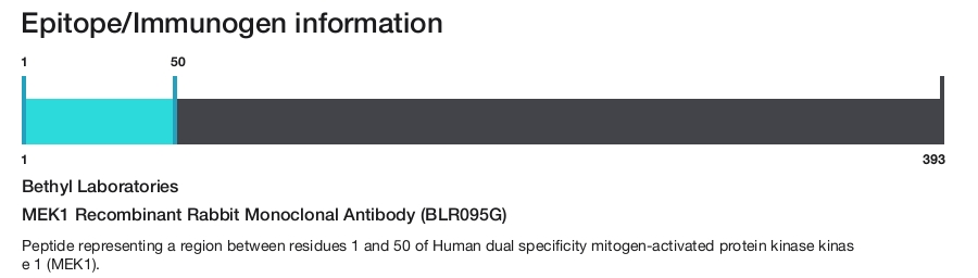 MEK1 Recombinant Rabbit Monoclonal Antibody (BLR095G)