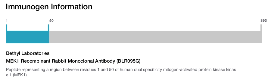 MEK1 Recombinant Rabbit Monoclonal Antibody (BLR095G)