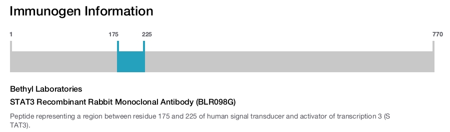 STAT3 Recombinant Rabbit Monoclonal Antibody (BLR098G)