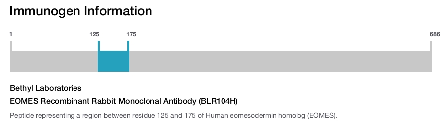 EOMES Recombinant Rabbit Monoclonal Antibody (BLR104H)