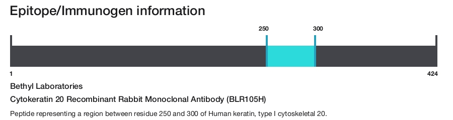 Cytokeratin 20 Recombinant Rabbit Monoclonal Antibody (BLR105H)