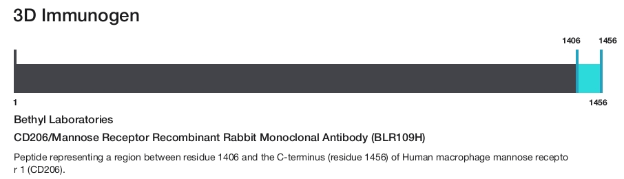 CD206/Mannose Receptor Recombinant Rabbit Monoclonal Antibody (BLR109H)