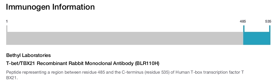 T-bet/TBX21 Recombinant Rabbit Monoclonal Antibody (BLR110H)