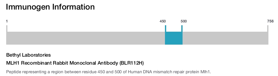 MLH1 Recombinant Rabbit Monoclonal Antibody (BLR112H)