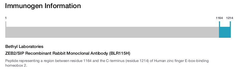 ZEB2/SIP Recombinant Rabbit Monoclonal Antibody (BLR115H)
