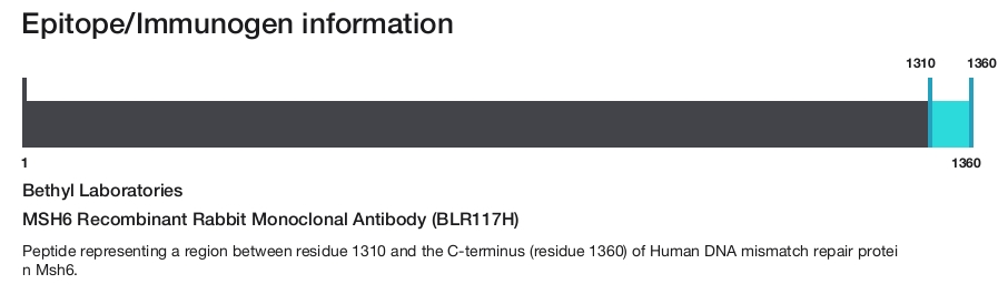 MSH6 Recombinant Rabbit Monoclonal Antibody (BLR117H)