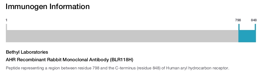 AHR Recombinant Rabbit Monoclonal Antibody (BLR118H)