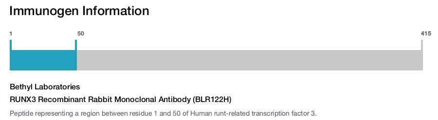 RUNX3 Recombinant Rabbit Monoclonal Antibody (BLR122H)