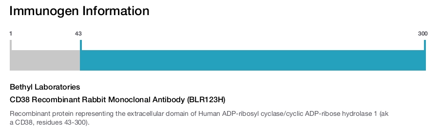 CD38 Recombinant Rabbit Monoclonal Antibody (BLR123H)