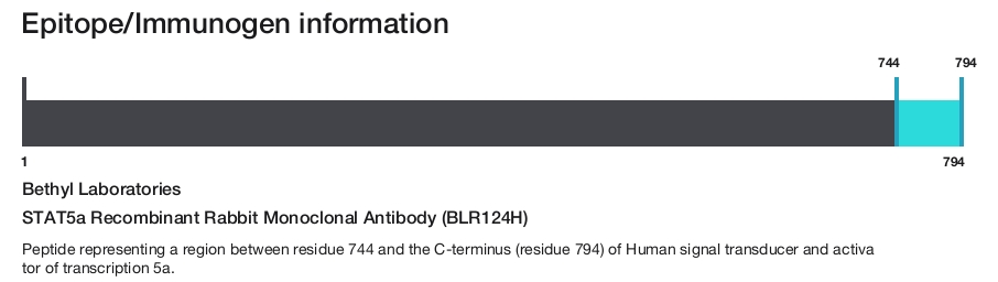 STAT5a Recombinant Rabbit Monoclonal Antibody (BLR124H)