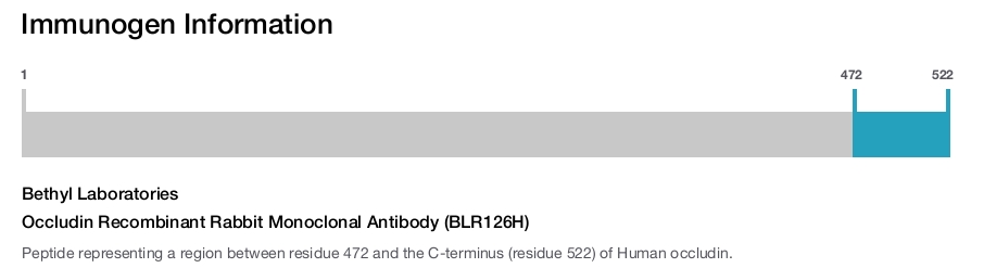 Occludin Recombinant Rabbit Monoclonal Antibody (BLR126H)