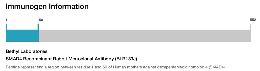 SMAD4 Recombinant Rabbit Monoclonal Antibody (BLR133J)